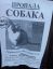 собака, объявление, парашЮт