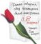 открытка, 8 марта, тюльпан